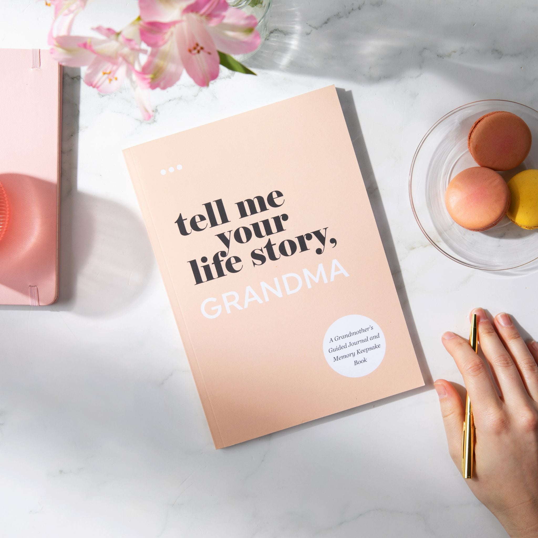 Tell Me Your Life Story, Grandma